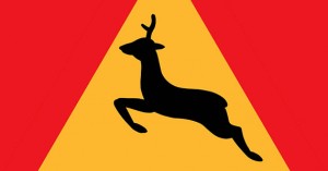 Automobile-Wildlife Collisions: The Danger, Costly Damage, and Prevention