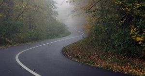 Car Competition: Which Rides are Getting the Best Reviews This Year