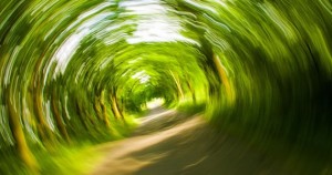 Understanding the Criminal Penalties of Drunk Driving