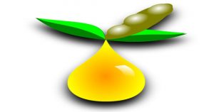 The Differences in Automobile Fuel Options